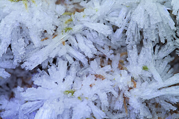 White frosty frost on leaves and grass. The concept of the onset of winter cold weather. Natural background.