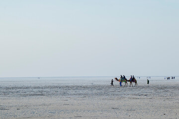 Various views of the Rann of kutch