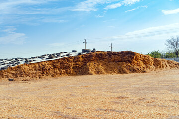 Large pile of dry hay on a farm