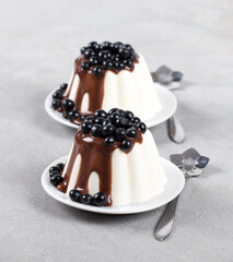 Vanilla cream pudding with chocolate sauce and fresh black currant berries on a plate on a light background
