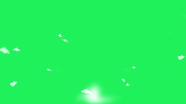 Animation white butterflies are flying  on green background.