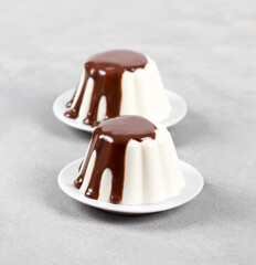 Vanilla cream pudding with chocolate sauce on a plate on a light background