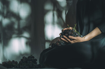 Artistic portrait of a woman in a black dress seated, holding purple grapes in hands, on white background with shadows. Concept: abundance, autumn harvest