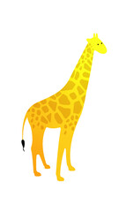 Giraffe Vector Graphic