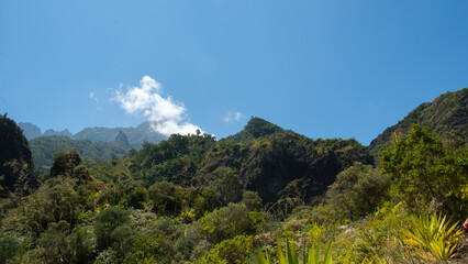 View on the valley and tropical mountains