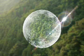 ネイチャーイメージ