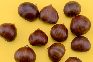 chestnuts on yellow background in top view