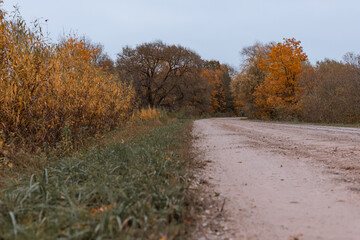 lonely country road found somewhere in Latvia