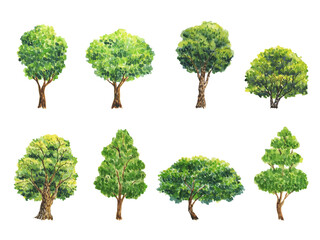 Fototapeta premium Watercolor illustration with trees