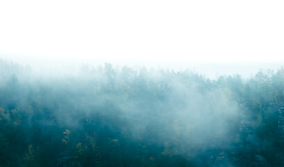 Nebel im Wald in der Sächsischen Schweiz