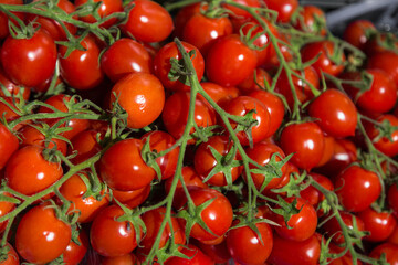 Fresh cherry tomatoes at the market