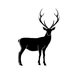  Deer vector isolated illustration. Stag wildlife drawing. . Vector illustration