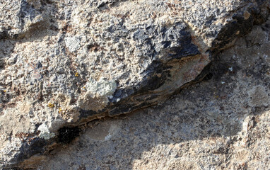 close-up of a rock texture background