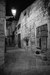 narrow street in the town B&W