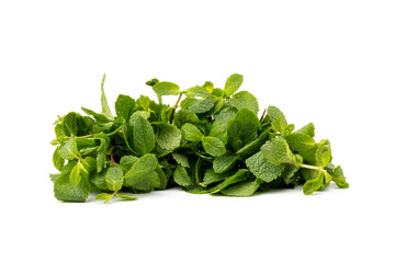 Fresh mint leaves isolated on white background.