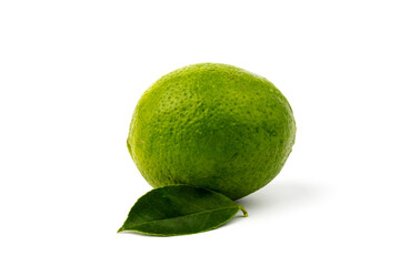 fresh green lime (Citrus aurantifolia Swingle) with  leaves  isolated on white background