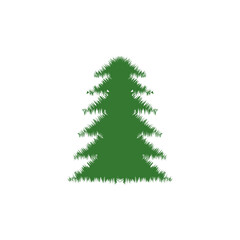 Cedar tree vector icon illustration design template