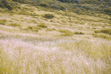 East Honolulu coast, Makapuu point, Oahu, Hawaii