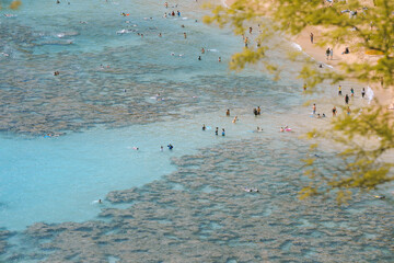Hanauma bay, Oahu, Hawaii	