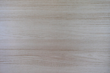 Maple background and texture. Close-up view of a wooden longitudinal cut