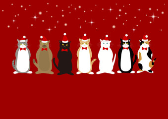 クリスマスの猫　無愛想な表情でサンタ帽子をかぶる