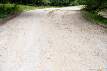 Turning the road in the forest