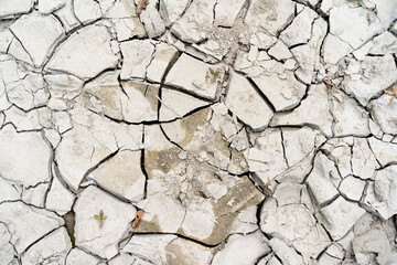 Cracked earth into small pieces