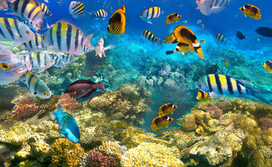 Plakat Underwater Colorful Tropical Fishes.