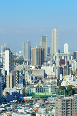 Naklejka na ściany i meble 東京の景観