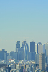 Fototapeta premium 東京の景観