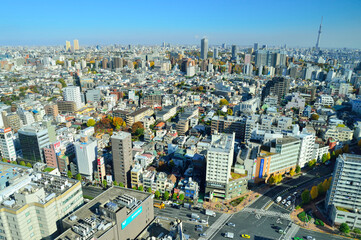 東京スカイツリーの見える東京の景観