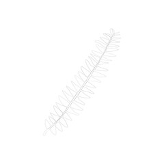 SINGLE-LINE DRAWING: Fern Leaves, Botanical 23. This hand-drawn, continuous, line illustration is part of a collection inspired by the drawings of Picasso. Each gesture sketch was created by hand.