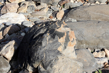 close-up of a rock on nature