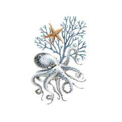 watercolor illustration of blue octopus with coral and starfish on white background, marine style hand painted close up