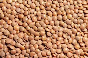 texture of red lentils