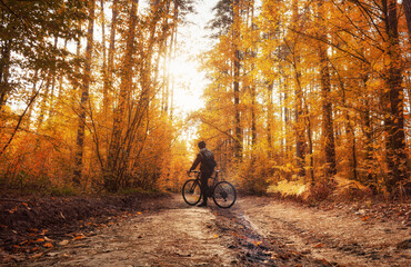 A cyclist stands on a path in a dreamy autumn forest in daylight. Beautiful autumn landscape.