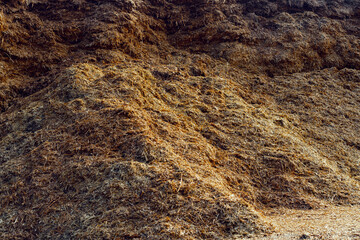 Large pile of dry hay on a farm