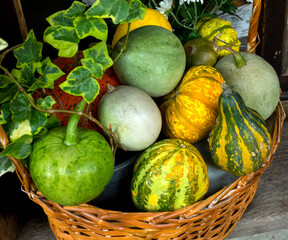 basket with small decorative pumpkins and flowers_2