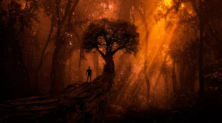 Gardinen Braun Geheimnisvoll im asiatischen Dschungel  © quickshooting