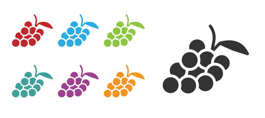 Fototapeta na wymiar Black Grape fruit icon isolated on white background. Set icons colorful. Vector.