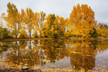 Autumn lake