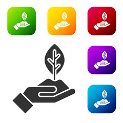 Black Plant in hand of environmental protection icon isolated on white background. Seed and seedling. Planting sapling. Ecology concept. Set icons in color square buttons. Vector.