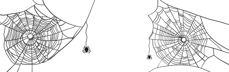 Obraz premium Spiderweb Halloween white banner with black poison spiders. Scary spider web vector illustration drawn by hand. Halloween decoration for design. Eps 10