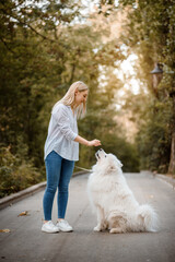 beautiful woman in white shirt is walking outdoors in the park  with her white dog samoyed.