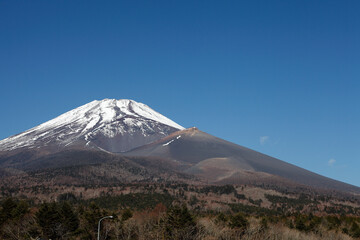 Fototapeta premium 水ケ塚公園からの富士山