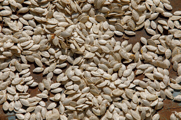 watermelon seeds dry in the sun, many seeds