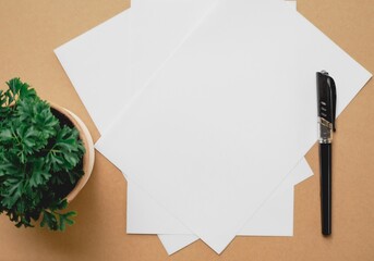 Brown office desk workspace with white paper blank, the pen, green tree. mockup paper background top view. for business and card 