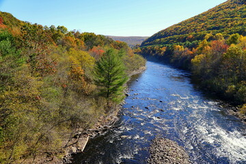 Striking colors of fall foliage near Lehigh River, Jim Thorpe, Pennsylvania, U.S.A