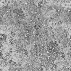 8K coral ground roughness texture, height map or specular for Imperfection map for 3d materials, Black and white texture