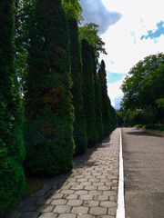 alley in the park